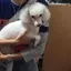 みっちゃんのプロフィール画像