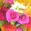 yumiのプロフィール画像