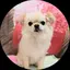ノリヨのプロフィール画像