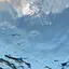 あかりのプロフィール画像