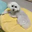 ありさのプロフィール画像