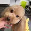 まろんのプロフィール画像