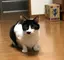 鈴ちゃんのプロフィール画像