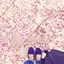 すーのプロフィール画像