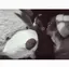 nのプロフィール画像