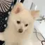 mkのプロフィール画像