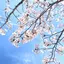 なぎなぎのプロフィール画像