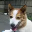 さえこのプロフィール画像