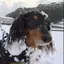 ちゅんのプロフィール画像