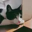ゆこのプロフィール画像