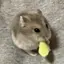 ユウキのプロフィール画像