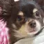 みみのプロフィール画像