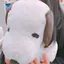 AYAのプロフィール画像