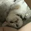 茉奈のプロフィール画像