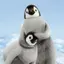 SAKUのプロフィール画像