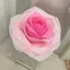 ma*⑅୨୧のプロフィール画像