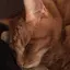 大輝のプロフィール画像