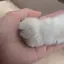ぴのプロフィール画像