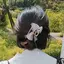mのプロフィール画像