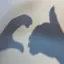アキのプロフィール画像