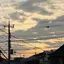 希のプロフィール画像