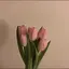 mのプロフィール画像