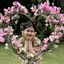 ポムのプロフィール画像