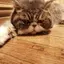 mhkのプロフィール画像