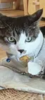 リョウのプロフィール画像