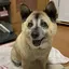 ありさのプロフィール画像