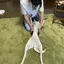 新橋色大好きのプロフィール画像