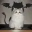 みのプロフィール画像