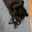 りえのプロフィール画像