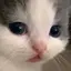 あみのプロフィール画像