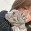 彩のプロフィール画像