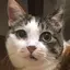 豆のプロフィール画像