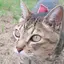 みかのプロフィール画像