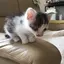 むーちゃんのプロフィール画像