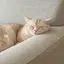 MAIKIのプロフィール画像