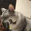 さちのプロフィール画像