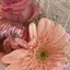 のんのプロフィール画像