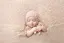 tのプロフィール画像