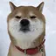 はるのプロフィール画像