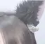 まんちゃんのプロフィール画像