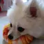 あーちゃんのプロフィール画像