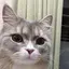 たみえーるのプロフィール画像