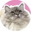 ふくふくのプロフィール画像