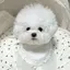 m⑅のプロフィール画像