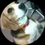 masaのプロフィール画像