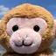 みいのプロフィール画像